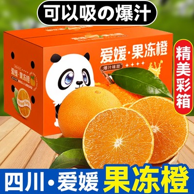 12年老店丨假一赔十丨现摘现发