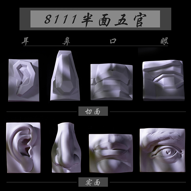 石膏五官模型树脂实面切面耳鼻口眼素描绘画写生静物专业美术教具-封面