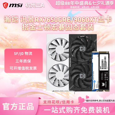 AMD讯景瀚铠RX9060XT/7650GRE黑狼搭固态套装台式电脑电竞显卡