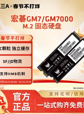宏碁掠夺者GM7/9 GM7000 1/2/4TB NVME4.0台式笔记本电脑固态硬盘
