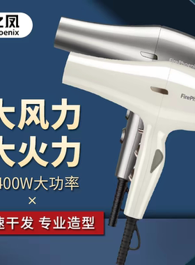 火之凤6200H吹风机发型师专用无刷电机轻量级 大风力2400W大功率
