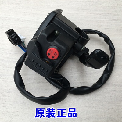 适用九号赛格威ATV沙滩车配件 右手把开关 加油器总成 实物图原厂