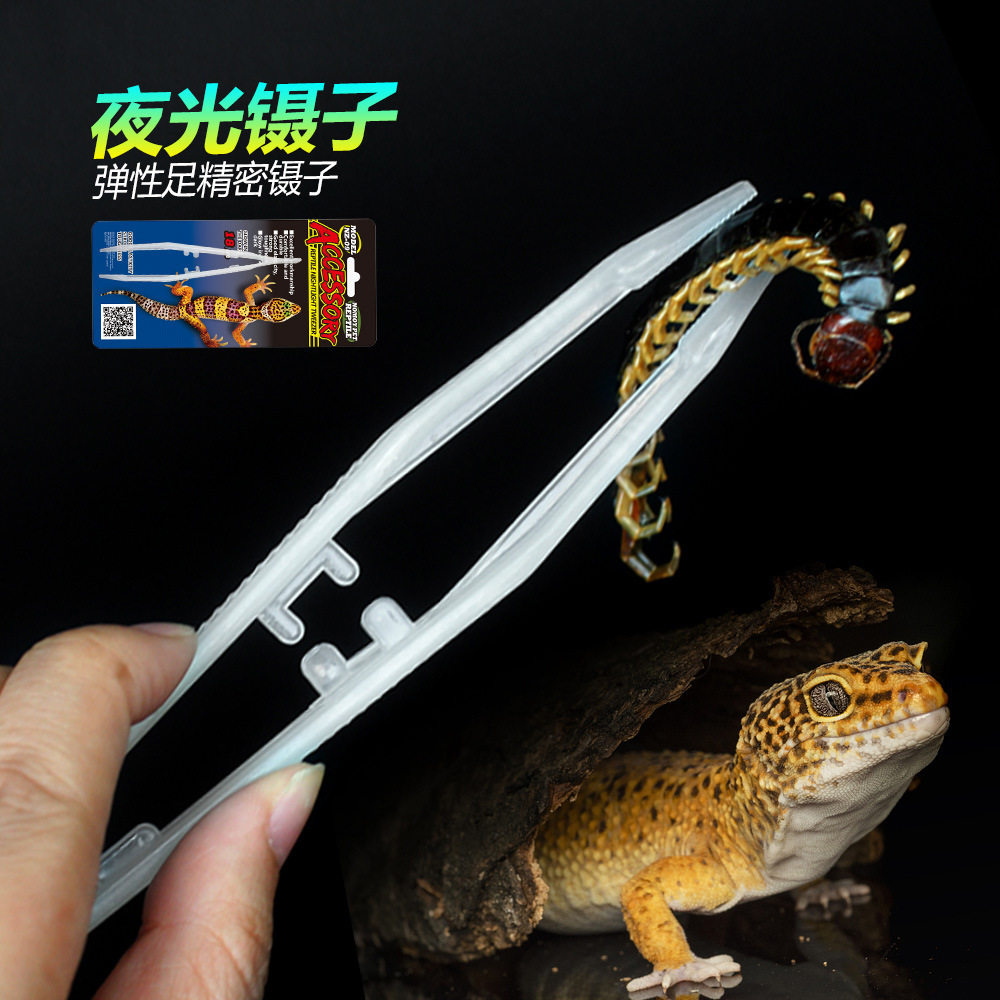 爬虫甲虫昆虫夜光夹镊子喂食钳