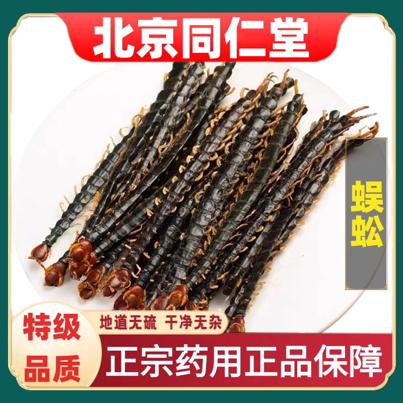 北京同仁堂特级蜈蚣药材大蜈蚣