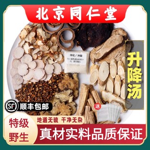北京同仁堂正品升降汤中药材倪师推荐党参黄芪白术广陈皮厚朴煮水