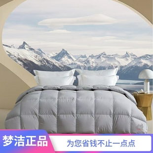 1956 登峰3.0 梦洁羽绒被95白鹅绒被 春秋保暖被芯高级夏凉被2025