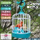 鹦鹉学说话神器仿真鸟笼感应小鸟玩具声控会唱歌录音儿童玩具礼物