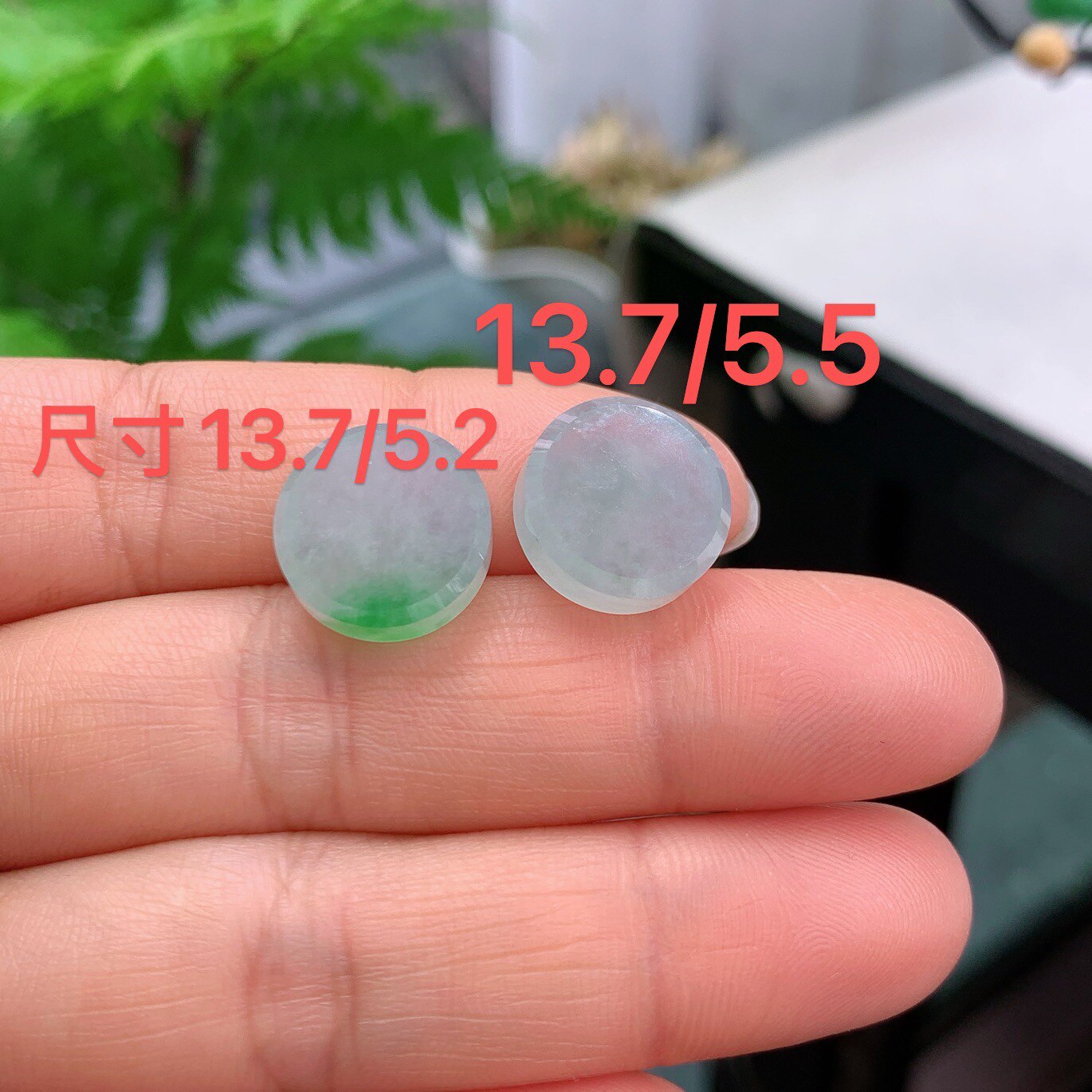 缅甸天然翡翠A货冰飘阳绿无事圆牌吊坠一对