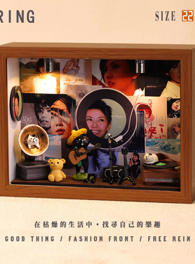 孙燕姿周边音乐专辑相框创意桌面礼物造景摆件生日礼品送男生女生