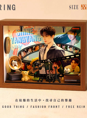 杨洋周边专辑相框小屋小纪念创意音乐造景手工礼物微缩装饰摆件
