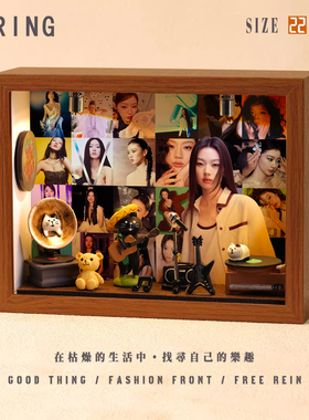 单依纯周边音乐专辑相框创意桌面礼物造景摆件生日礼品送男生女生