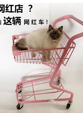 超市购物车网红小推车装饰拍照