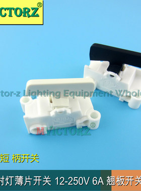 12-250V6A插线式一型叶片开关