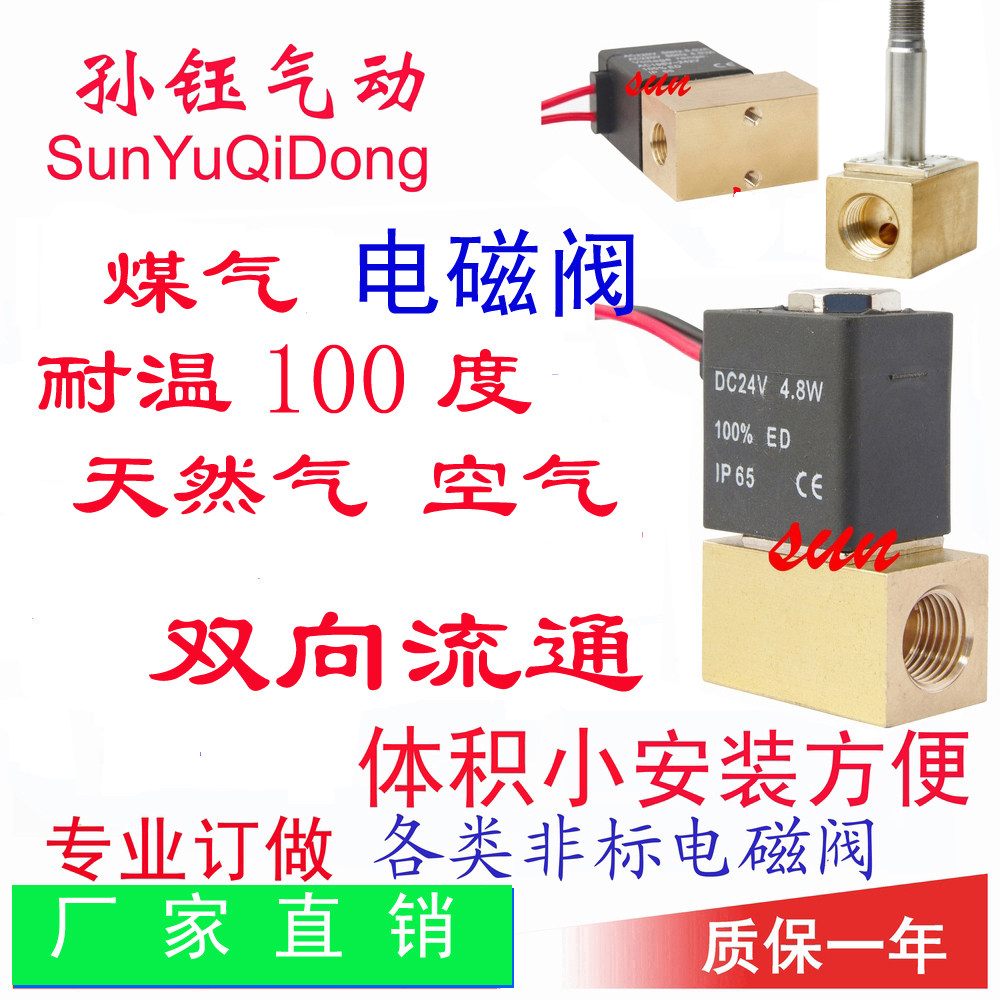 CYBG21-N 小型 直动式 微型 迷你阀门 2分 1分 天然气双向电磁阀