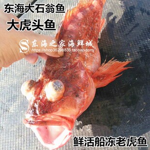 包邮顺丰深海大虎头东海石翁鱼冷冻大红斑石九公深海鱼海鲜水产品