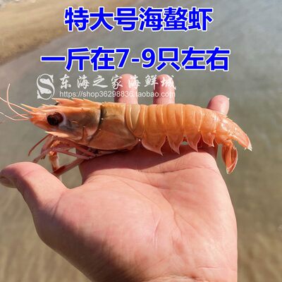 冻虾特大海螯虾鏊虾刺身国产鳌虾