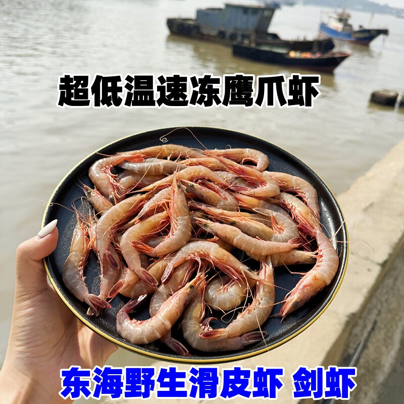 东海野生滑皮虾新鲜剑虾呛虾鲜活硬壳虾青壳虾海虾海鲜水产500g
