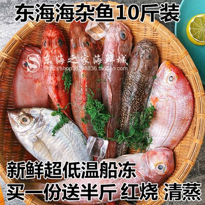 包邮顺丰海鱼东海海杂鱼10斤装