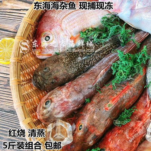 包邮顺丰5斤装海杂鱼组合深海鱼
