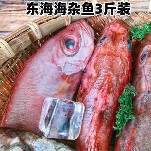 包邮顺丰3斤装东海海杂鱼拼盘组合深海鱼新鲜冷冻海鲜水产品少刺