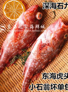 东海石翁鱼鲜活虎头鱼小石斑