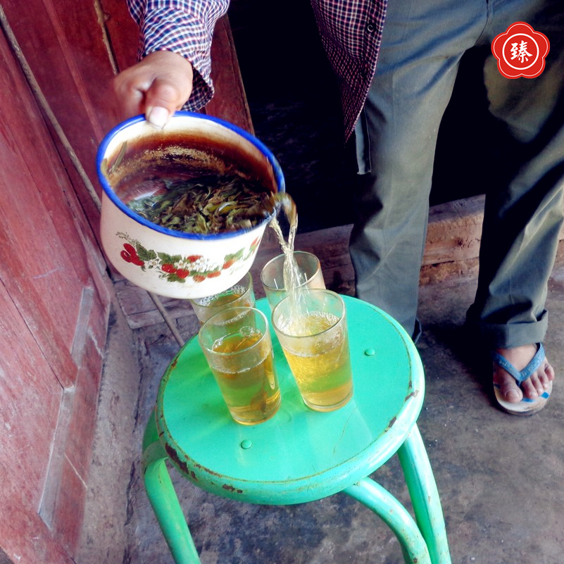倚邦大黑山森林古树散茶纯料