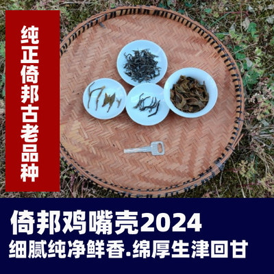 倚邦鸡嘴壳2024倚邦鸡嘴壳