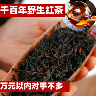 400g足量千岁红大古树野生滇红茶头采】大臻云南真正森林原始珍稀