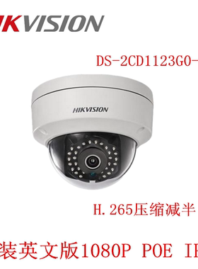 1123G0E-I海康英文版DS-2CD1123G0E-I 红外POE 200万网络摄像机