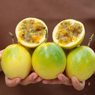 正宗钦蜜九号百香果黄金百香果现摘现发基肥种植清甜多汁水果茶