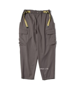 TRAVELLER CARGO PANTS 现货 裤 CE. 旅行者多口袋工装 男 日本F