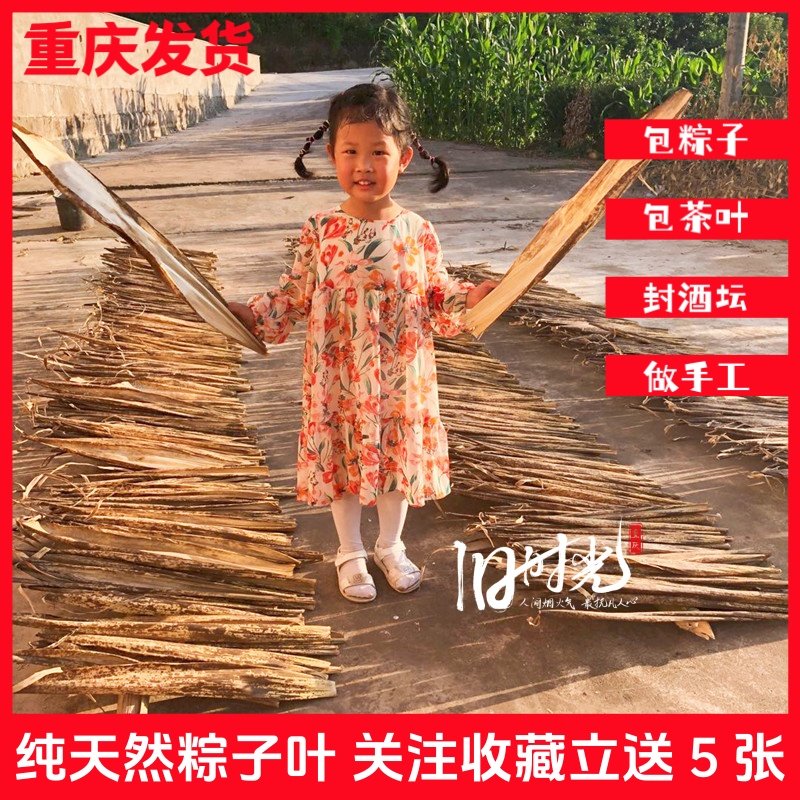 粽叶免邮新鲜大棕子叶箬叶重庆四川干特大号粽叶商用家用大量现货