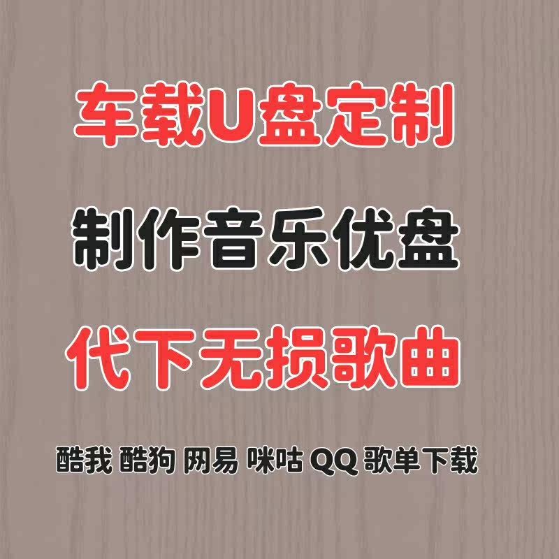定制车载内存卡U盘歌曲下载抖音U盘定制