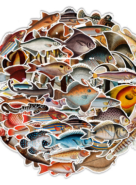 50张路亚海钓钓鱼海鱼贴纸钓箱户外水杯汽车装饰stiker创意