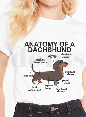Dachshund T shirt 新款卡通腊肠犬狗狗印花短袖T恤女圆领打底衫