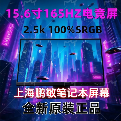 联想G5000APH8液晶屏幕