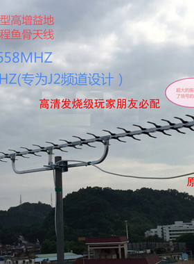 dtmb地面波数字高清ux55鱼骨天线