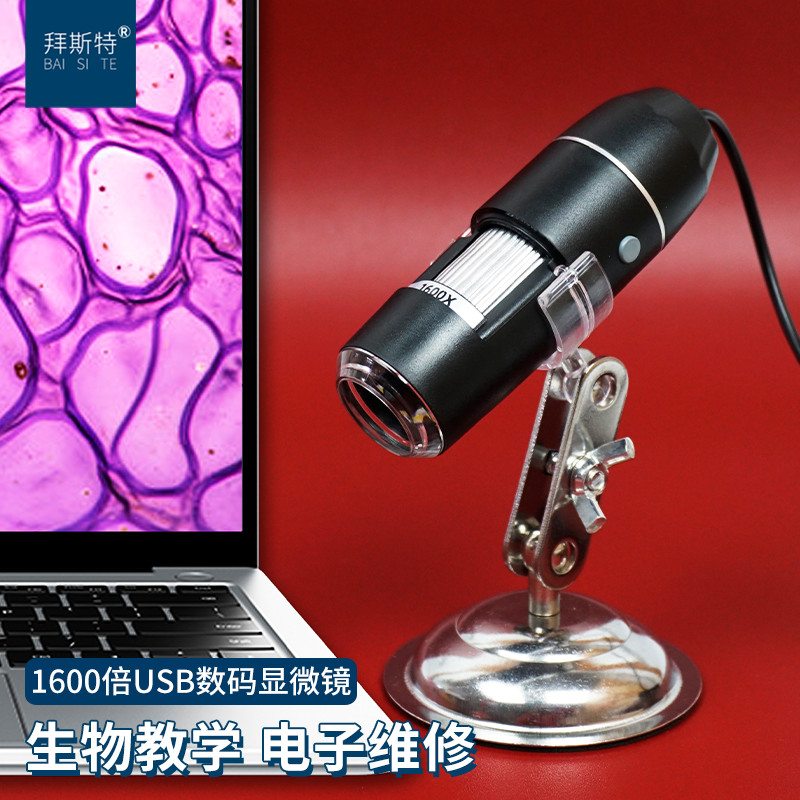 电子显微镜放大镜拜斯特高清