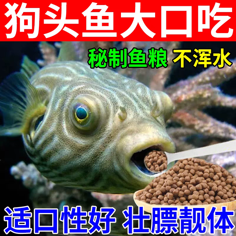 狗头鱼饲料斑马狗头鱼鱼食小型红绿灯鱼孔雀鱼小颗粒上浮通用鱼食