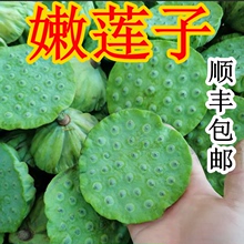 顺丰包邮新鲜嫩莲蓬现摘新鲜莲子洪湖莲子农家生吃清甜水果零食