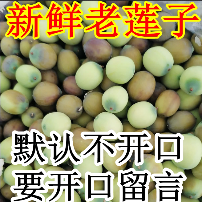 顺丰现剥新鲜老莲子成熟煲汤带壳
