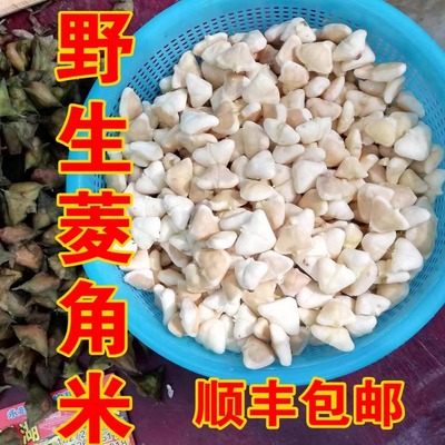 顺丰空运现摘野生小老去壳菱角米
