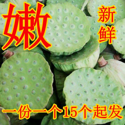 新鲜嫩莲蓬现摘新鲜嫩莲子洪湖农家生吃水果清甜零食15个起发