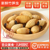 竹象虫 竹笋虫 速冻 新鲜 笋蛆 大竹虫 竹蛆 椰子虫 竹蛹 笋子虫