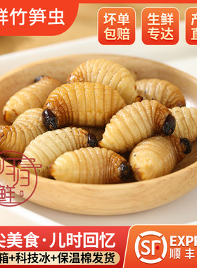 竹笋虫竹蛹笋子虫椰子虫竹象虫