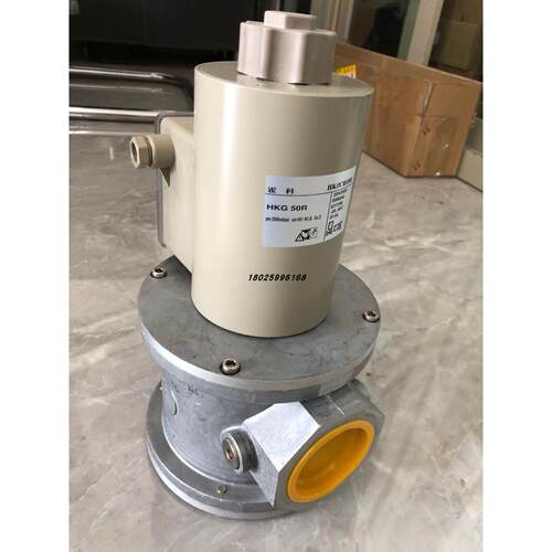 议价HKG50R ，SG50R02NT33 DN50 电磁阀2寸 220V