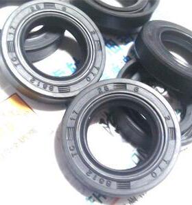 TC 17*28*6 17x28x6 B812 TTO台湾骨架油封内径17外径28高度6毫米