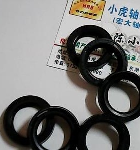 SC 19*27*6 19x27x6 B701 台湾TTO骨架油封内径19外径27高度6毫米