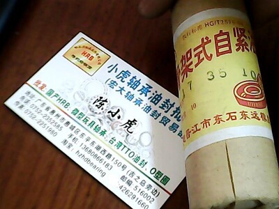 TC17*35*10DE自紧内骨架油封