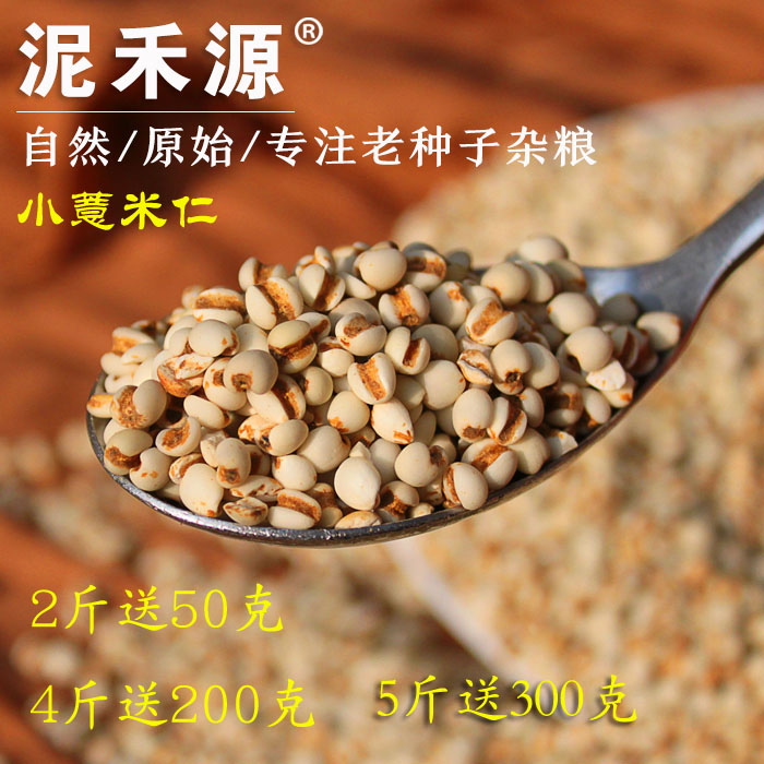 精品优质小薏米仁 农家小块地自种杂粮醇香粉糯 多买多送 500g/份